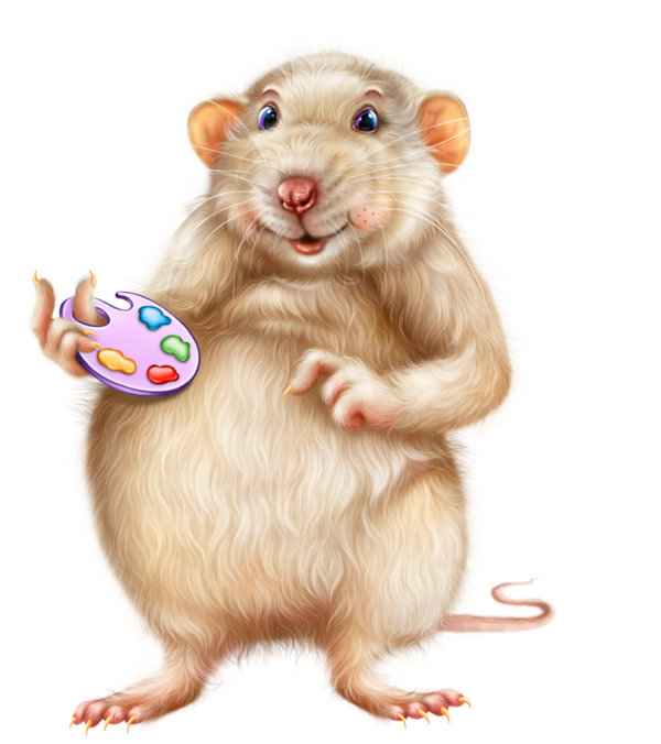 SOURIS RAT HAMSTER... 2