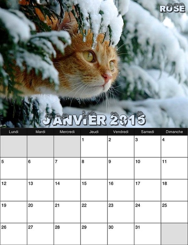 CALENDRIER JANVIER 2O15