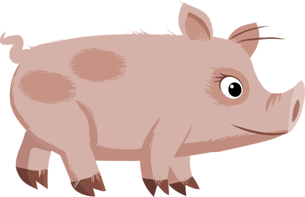 COCHON