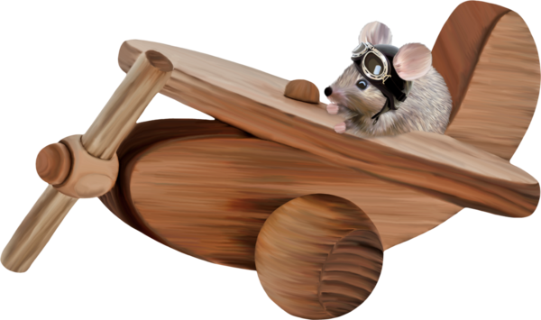 RAT SOURIS HAMSTER... 2