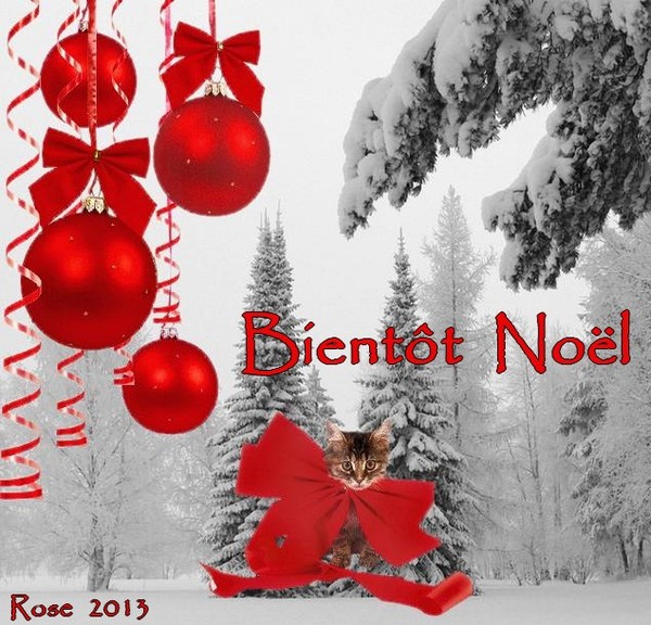 BIENTOT NOEL