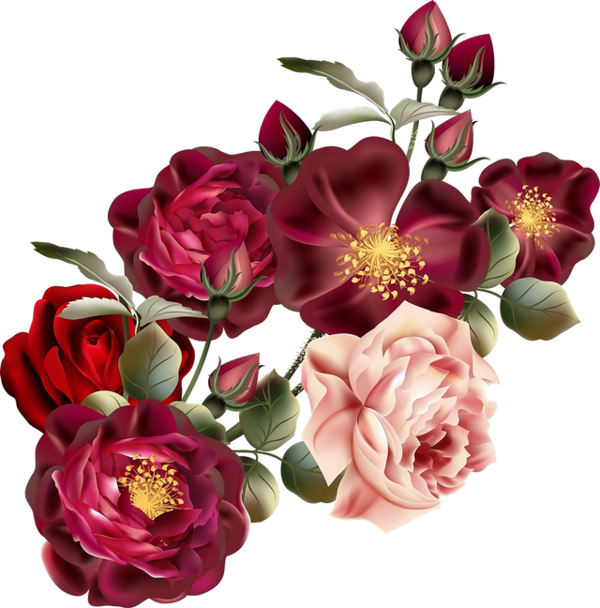 ROSE 4