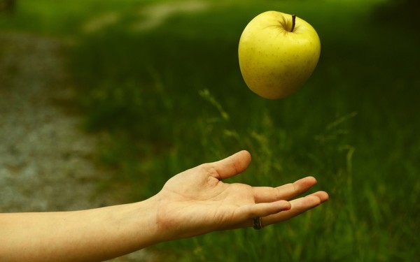 LA POMME