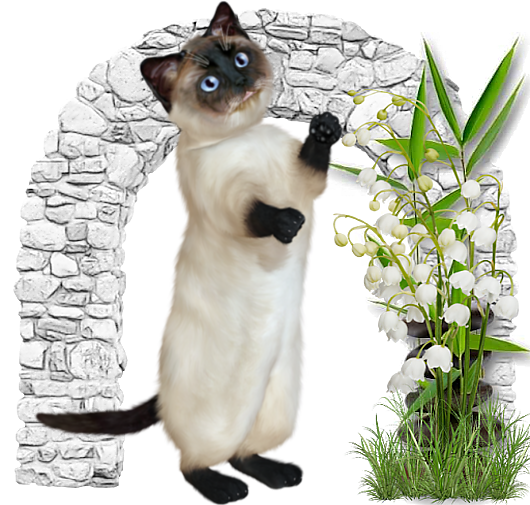 TUBE MUGUET ANIMAUX