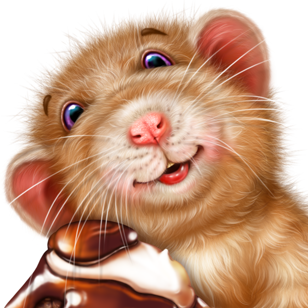 SOURIS RAT HAMSTER... 2