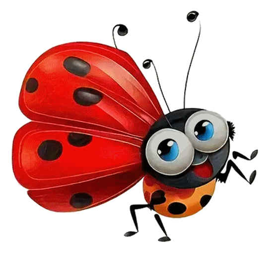 COCCINELLE 3