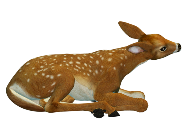 BICHE