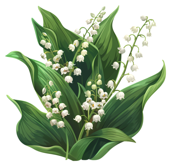 TUBE MUGUET