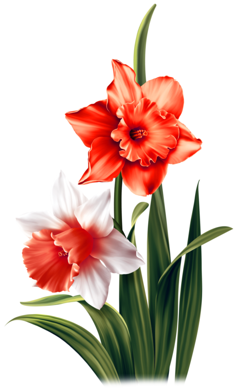 FLEURS 5