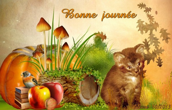 BONNE JOURNEE