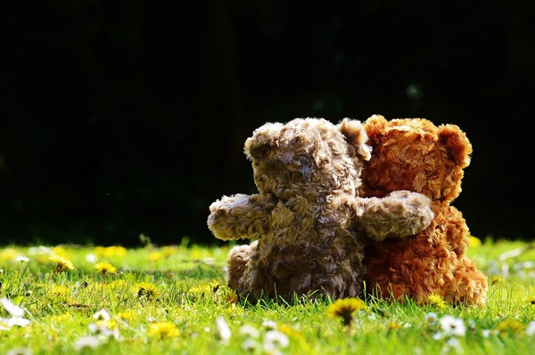 LES PELUCHES (OURS ET COMPAGNIES) 3