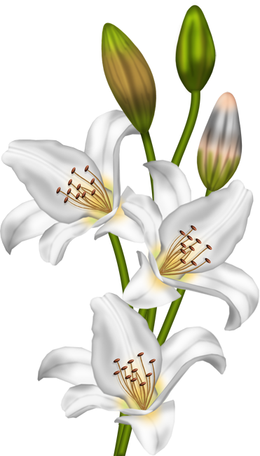 FLEURS 5