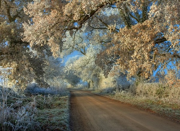 LA ROUTE