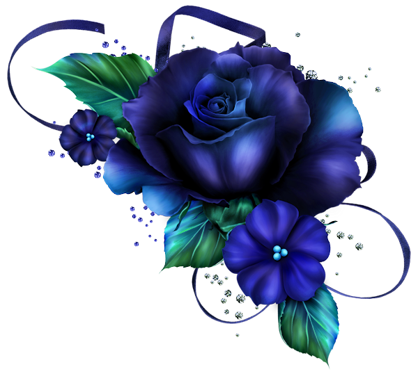 ROSES 4