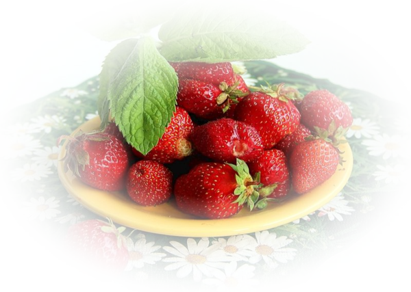 LES FRAISES