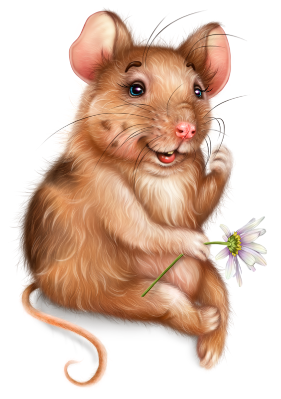 SOURIS RAT HAMSTER... 2