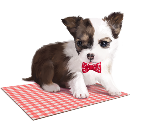 CHIEN 5