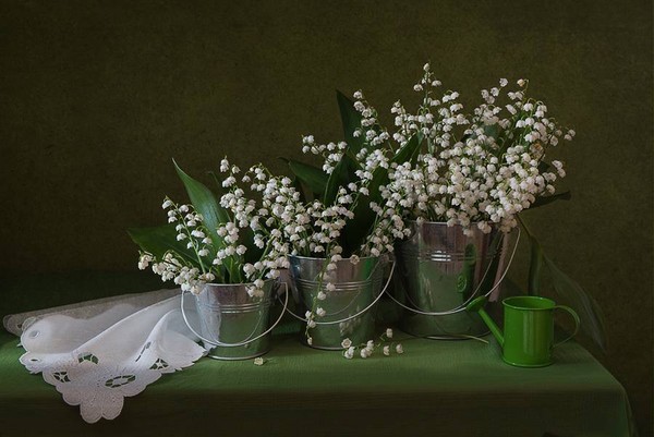 LE MUGUET