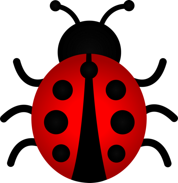 COCCINELLE