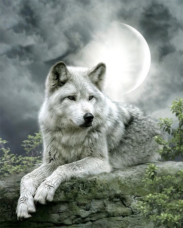 LOUP