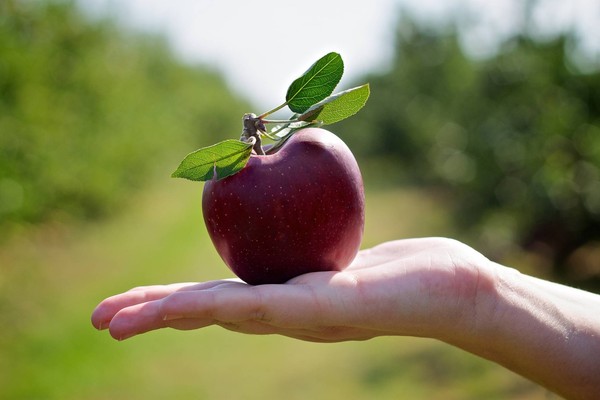 LA POMME