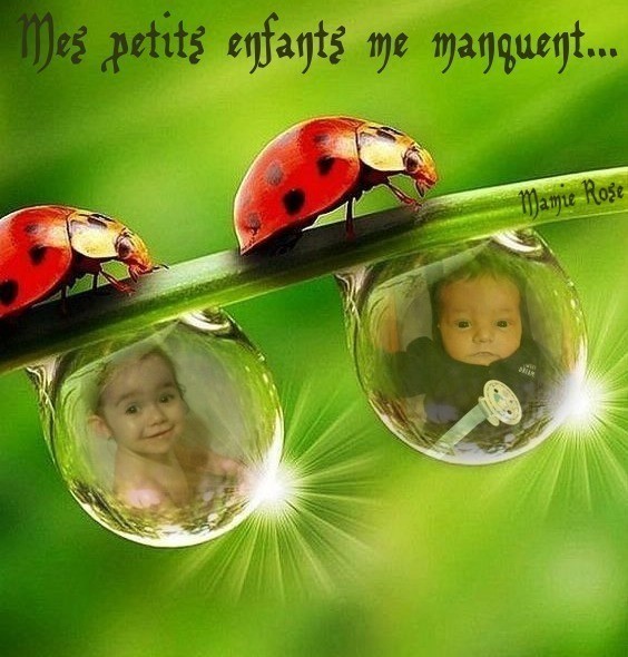 MES BOUTS DE CHOU...