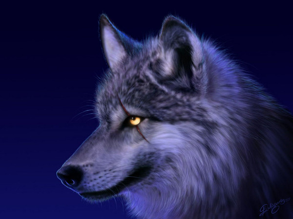 LOUP