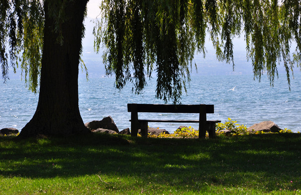 LE BANC