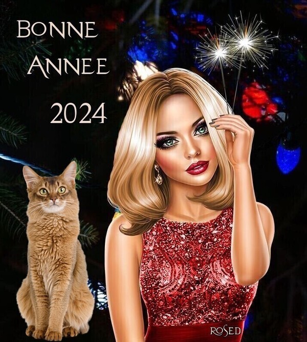 BONNE ANNEE 2024