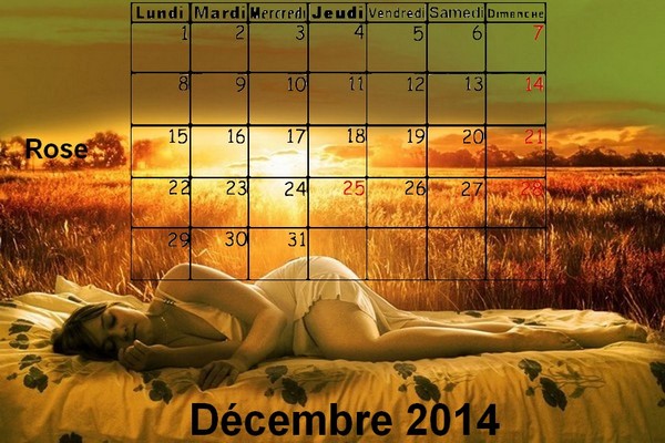 CALENDRIER DECEMBRE 2014