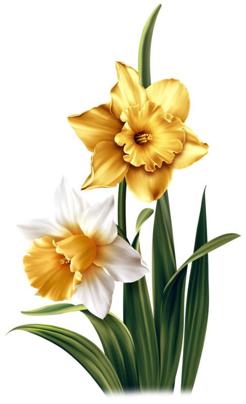 FLEURS 5