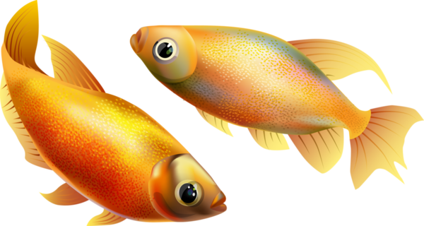 POISSONS