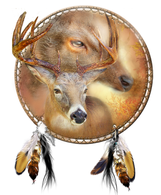 CERF BICHE