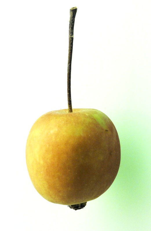 LA POMME