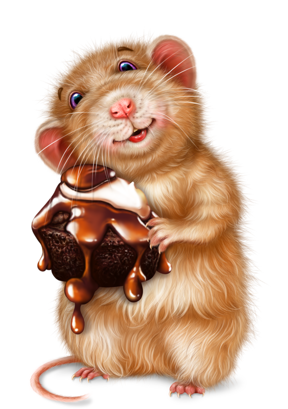 SOURIS RAT HAMSTER... 2