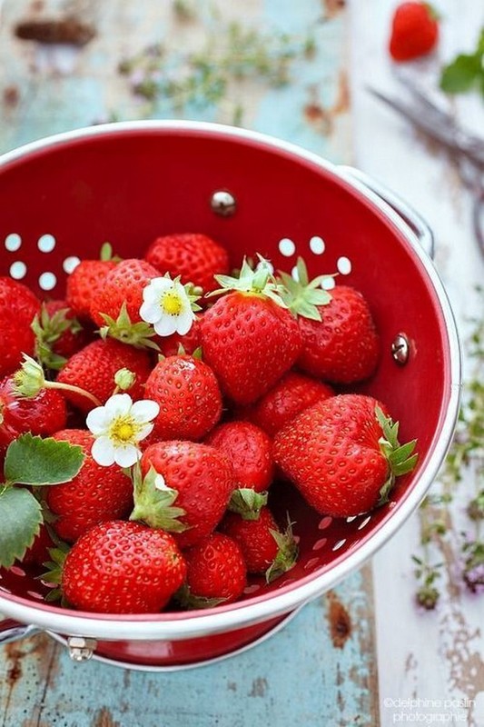 LES FRAISES