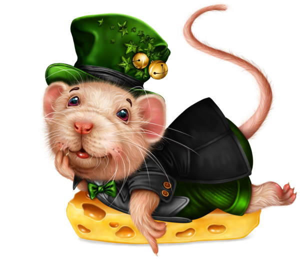 SOURIS RAT HAMSTER... 2