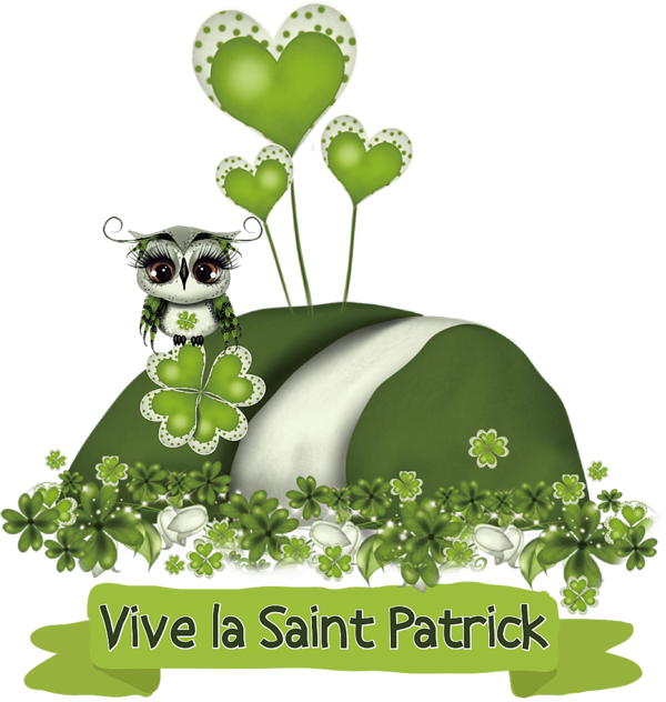 TUBE SAINT PATRICK TEXTE