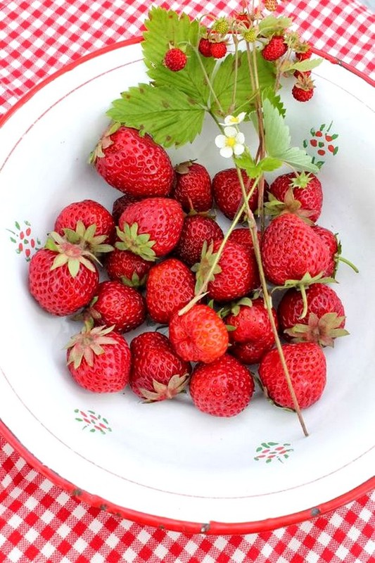 LES FRAISES