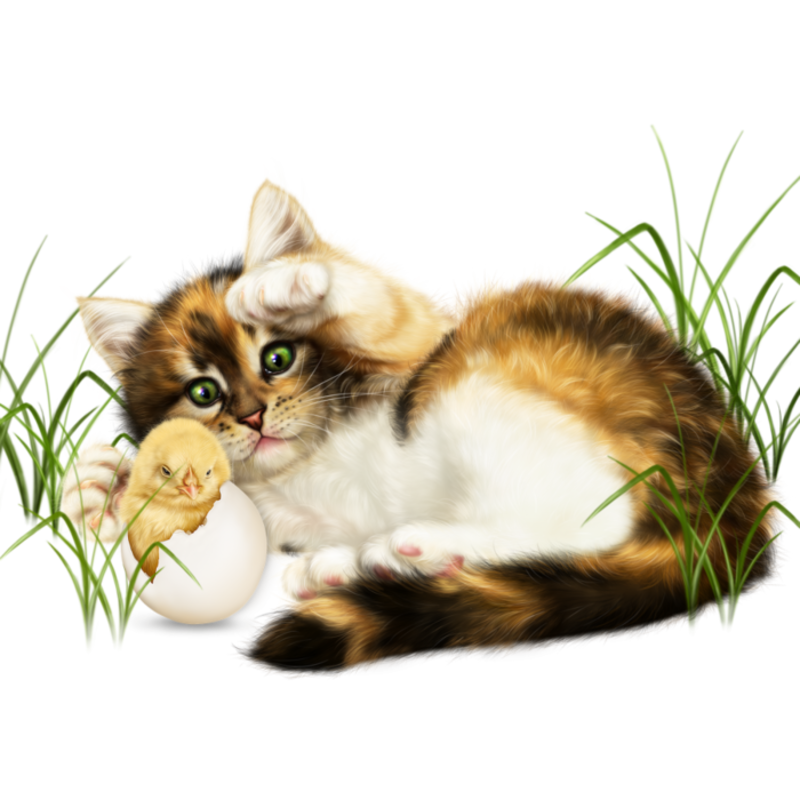 134693790_6090083_easter_kitten_with_a_chickpng1.png