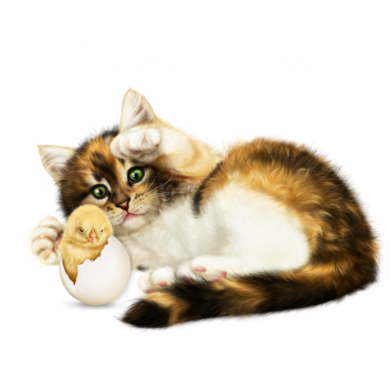 134693792_6090083_easter_kitten_with_a_chick2.png