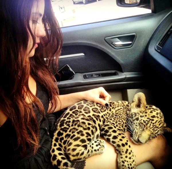 BEBE LEOPARD