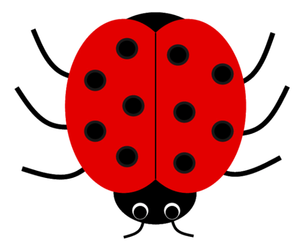 COCCINELLE