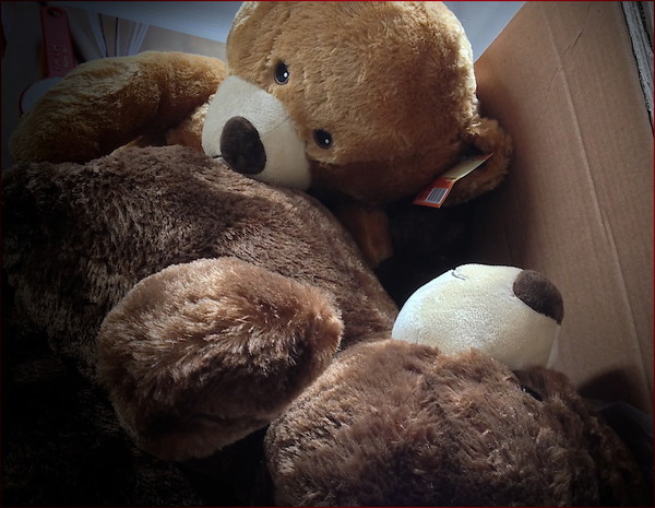 LES PELUCHES (OURS ET COMPAGNIES) 2