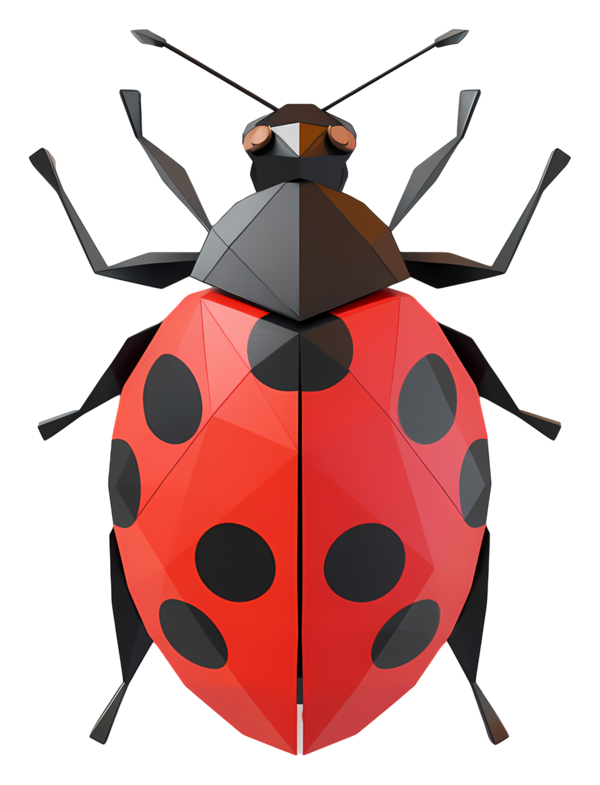 COCCINELLE 3