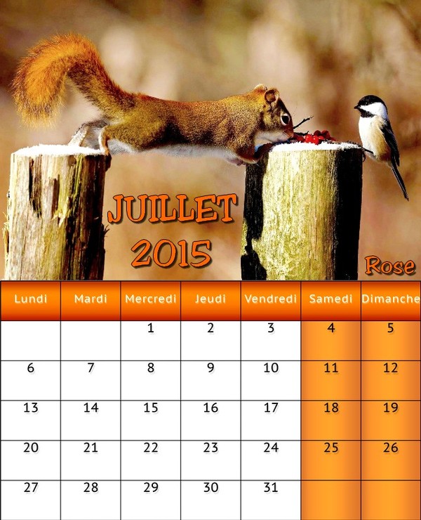 CALENDRIER JUILLET 2015