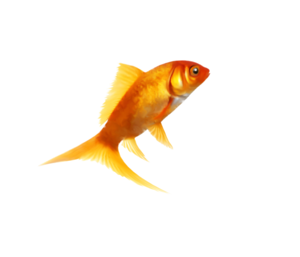 POISSON