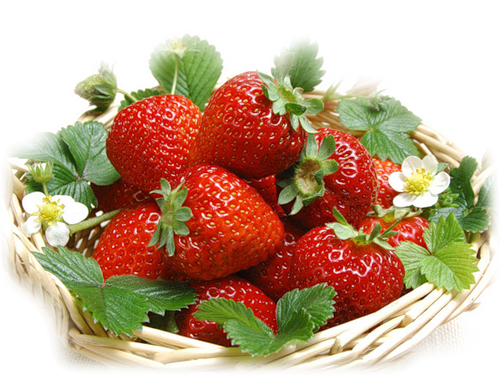 LES FRAISES