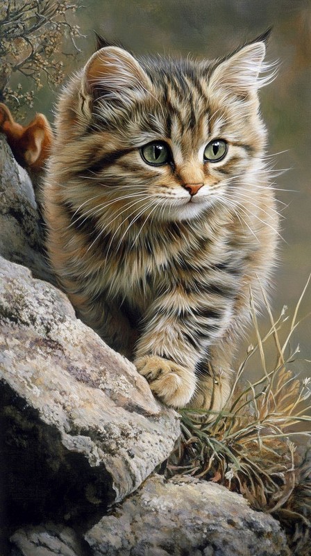 CHAT 7
