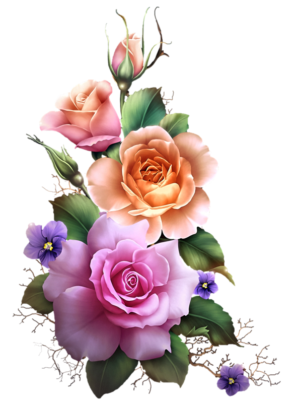 ROSE 4